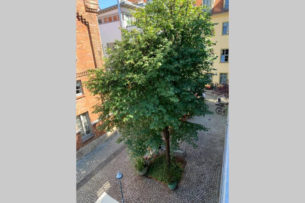 Altstadt, Fewo Im Markthof Am Dom エアフルト エクステリア 写真